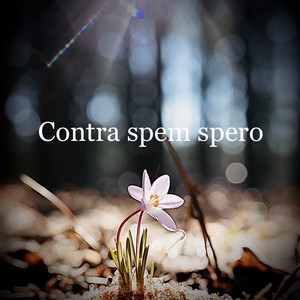 Contra Spem Spero