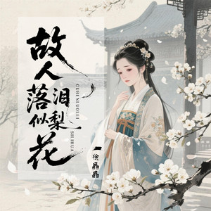 故人落泪似梨花 (DJ豪大大版 1.05X)