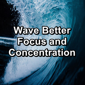 Wave Better Focus and Concentration album