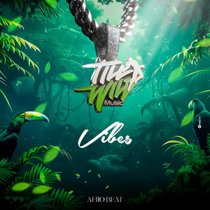 vibes - Special Version by till wild live