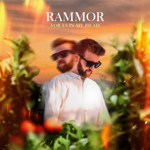 Voices in My Head by Rammor