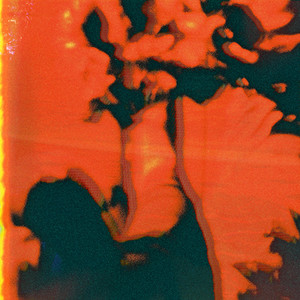Ashes