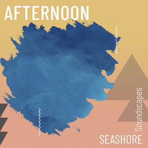 zZz Afternoon Seashore Soundscapes zZz album