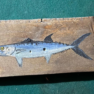 Thecacawking - A cacaw fishing trip