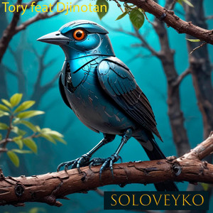 Обкладинка: Soloveyko