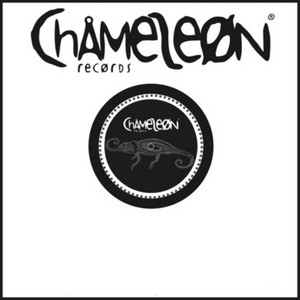 「MONOCHROME 【廃盤】THE GROOVERS CHAMELEON」