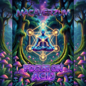 Focus on Acid by Macaverzum