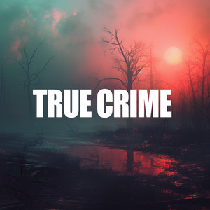 Soundridemusic - True Crime