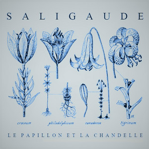 Le papillon et la chandelle