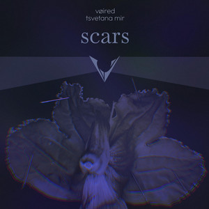 scars
