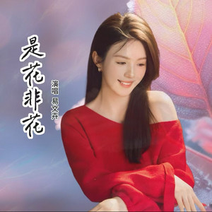 是花非花 - 伴奏 by 易文卉