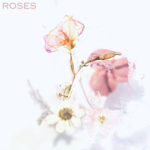 Roses by Oliver Opayne