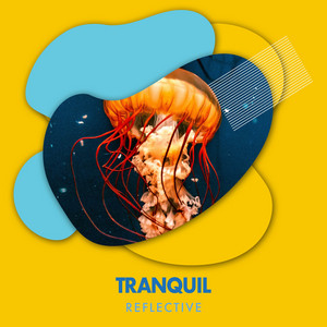zZz Tranquil Reflective Ocean Sounds zZz album