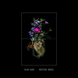 Symphony by Yeah Baby