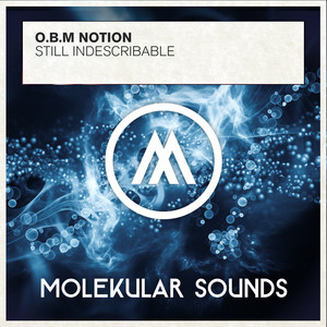 Still Indescribable - Radio Edit by O.B.M Notion