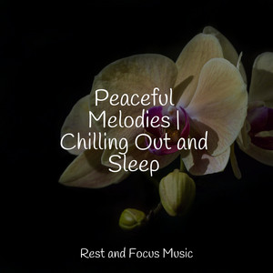 Peaceful Melodies | Chilling Out and Sleep album
