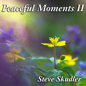 Crystal Clear by Steve Skudler