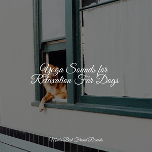 Yoga Sounds for Relaxation For Dogs album