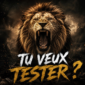 Tu veux tester by LIL RANGERS