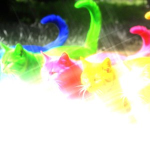 MIAU^-^