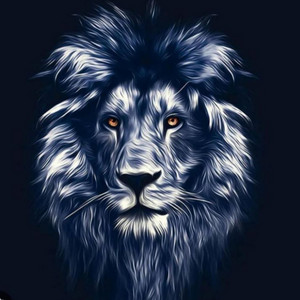 simba by Dj lion cm