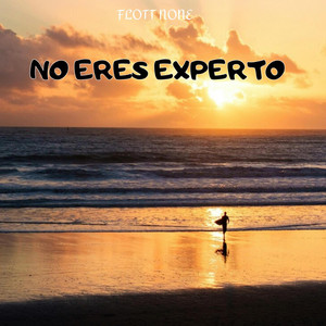 NO ERES EXPERTO by Flott None