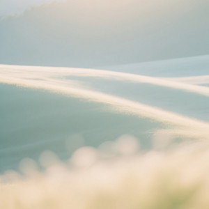 No Stress, Just Bless by Daniel James nc