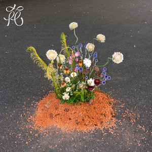 花 by TORO