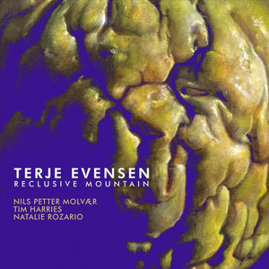 Reclusive Mountain by Terje Evensen