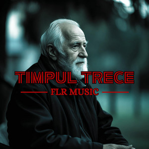 FLR MUSIC - FLR Music - Timpul trece
