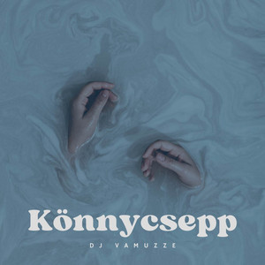 DJ VAMUZZE - Könnycsepp