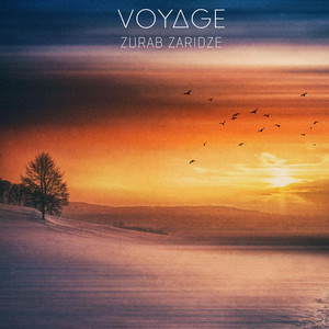 Voyage