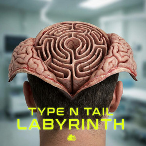 Labyrinth by Type N Tail
