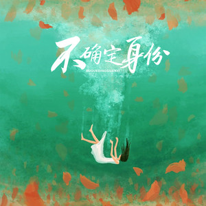 王安祺 - 不确定身份