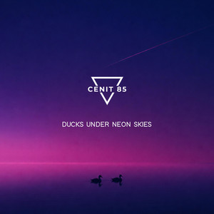 Ducks Under Neon Skies by Cenit85