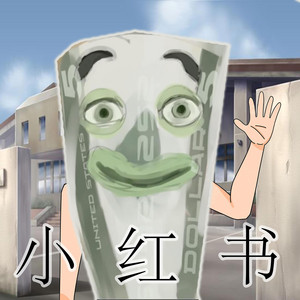 Xiaohongshu (小红书)