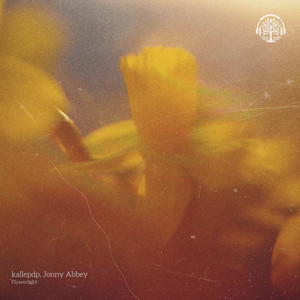 Flowerlight by kallepdp, Jonny Abbey