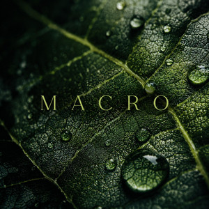 Macro by Shakaitis