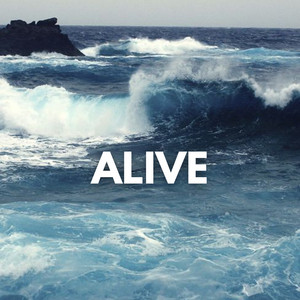 Alive by Puntori