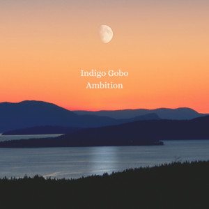 Ambition by Indigo Gobo