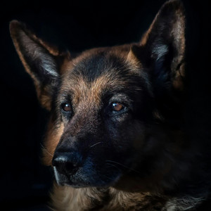 Zakia Islam - Midnight Drip