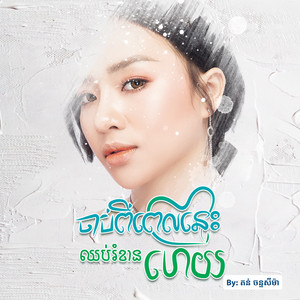 ចាប់ពីពេលនេះឈប់រំខានហើយ by តន់ ចន្ទសីម៉ា