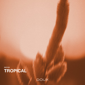 Tropical by Montara