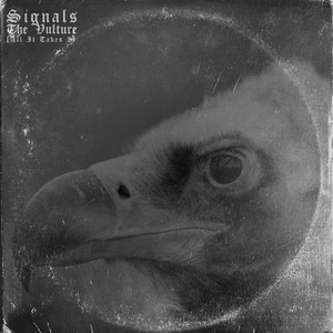 The Vulture (All It Takes II) by Signals