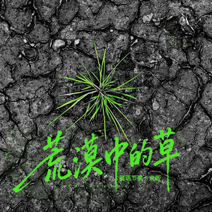 荒漠中的草 (伴奏|藏语节奏卡点版) by 杨凯盛