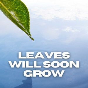 Leaves Will Soon Grow album