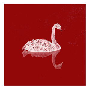 Wild Heart by Pink Swan