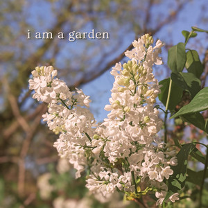 I Am a Garden by The Honey Badgers