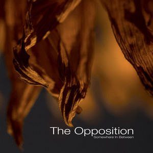 Going To Find You by The Opposition