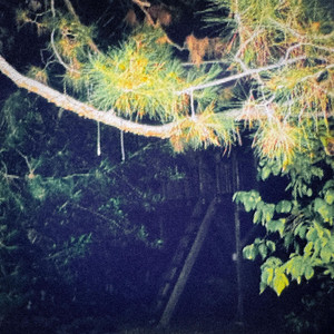 distant